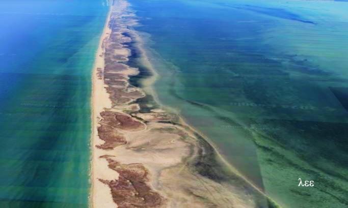 South Padre Stayz サウス・パドリー・アイランド エクステリア 写真