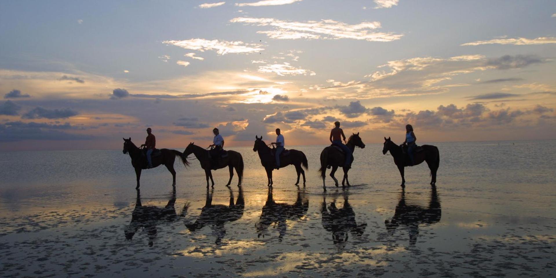 South Padre Stayz サウス・パドリー・アイランド エクステリア 写真